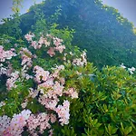 Et Roulotte Dans Les Vosges