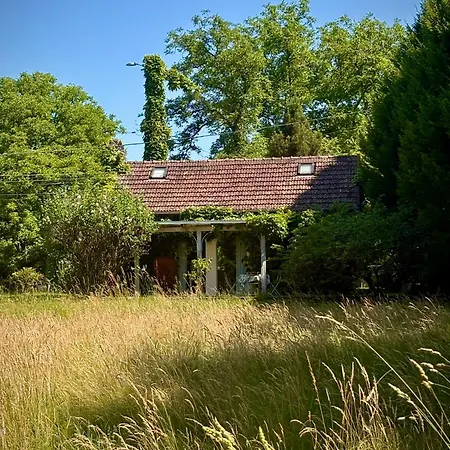 Et Roulotte Dans Les Vosges رُمْيِريمو