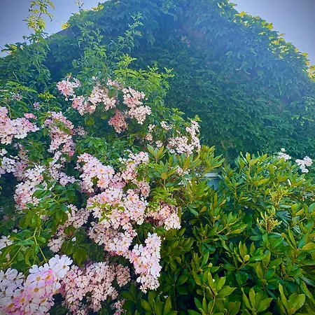 Et Roulotte Dans Les Vosges