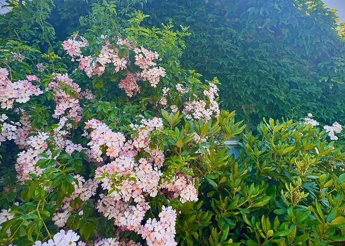 Et Roulotte Dans Les Vosges